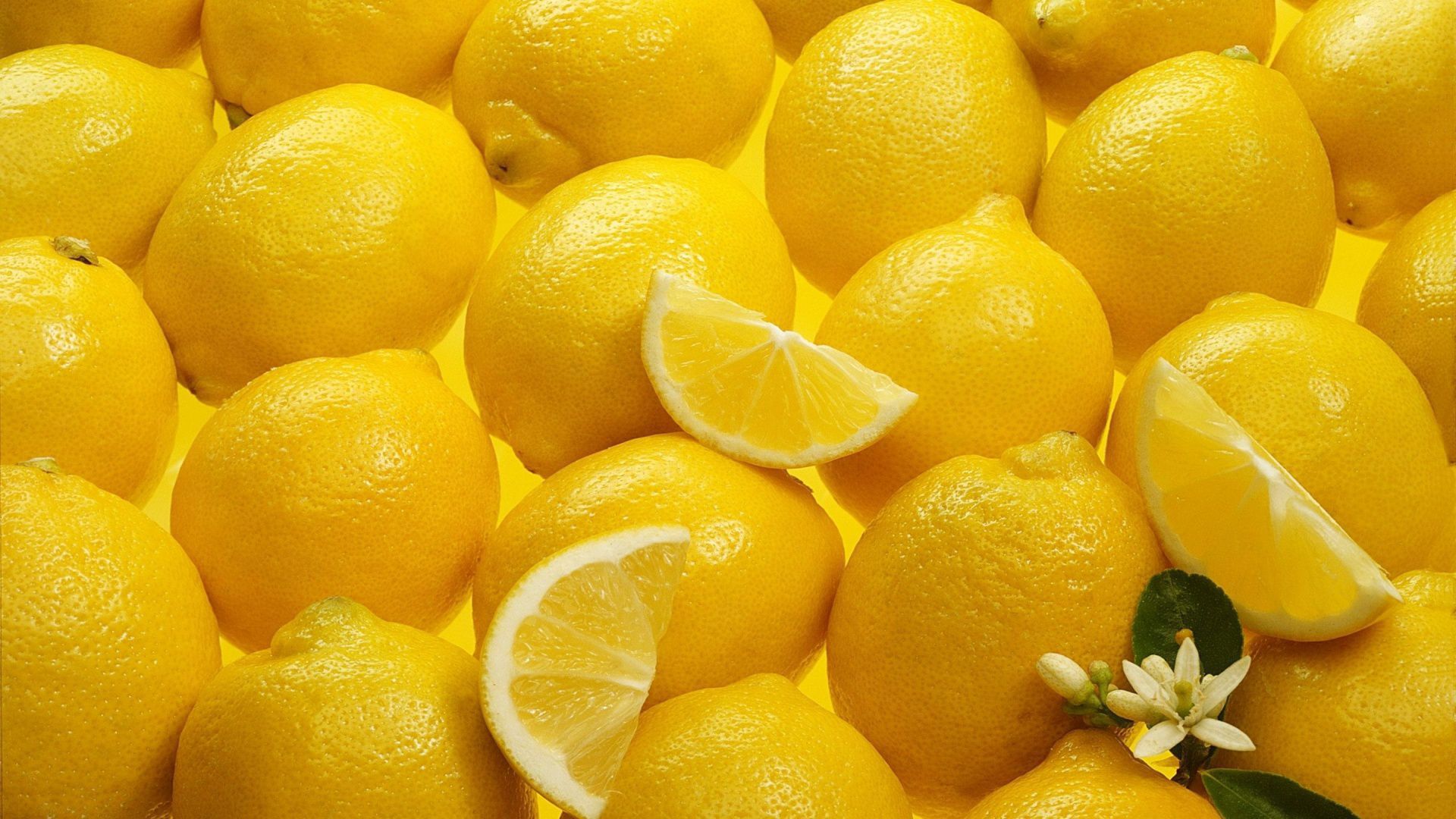 limón fondo de pantalla hd,limón,alimentos naturales,meyer lemon,agrios,fruta