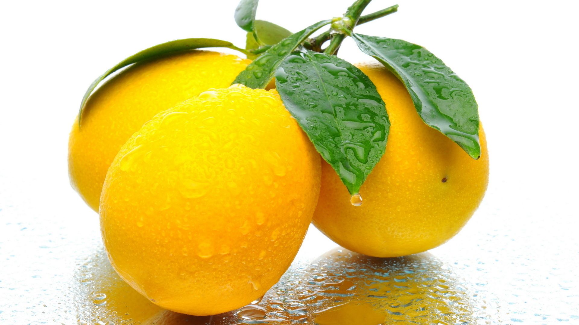 레몬 벽지 hd,자연 식품,과일,음식,노랑,식물