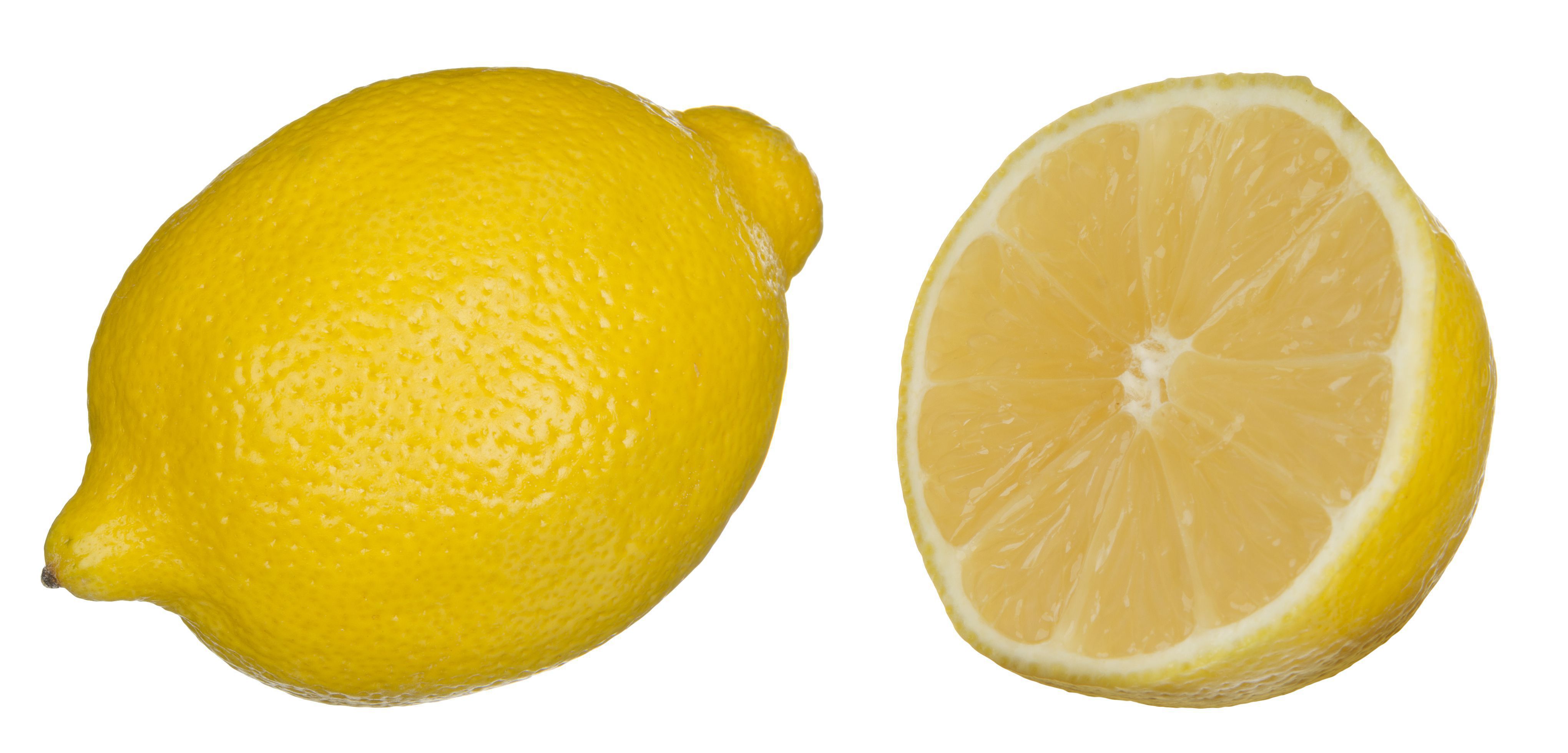 레몬 벽지 hd,감귤류,레몬,라임,마이어 레몬,과일
