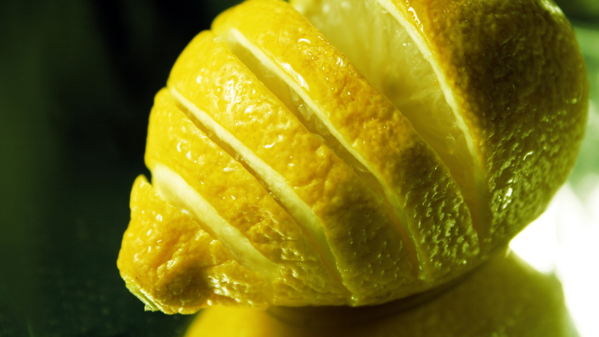 fond d'écran citron hd,jaune,citron,plante,fermer,macro photographie