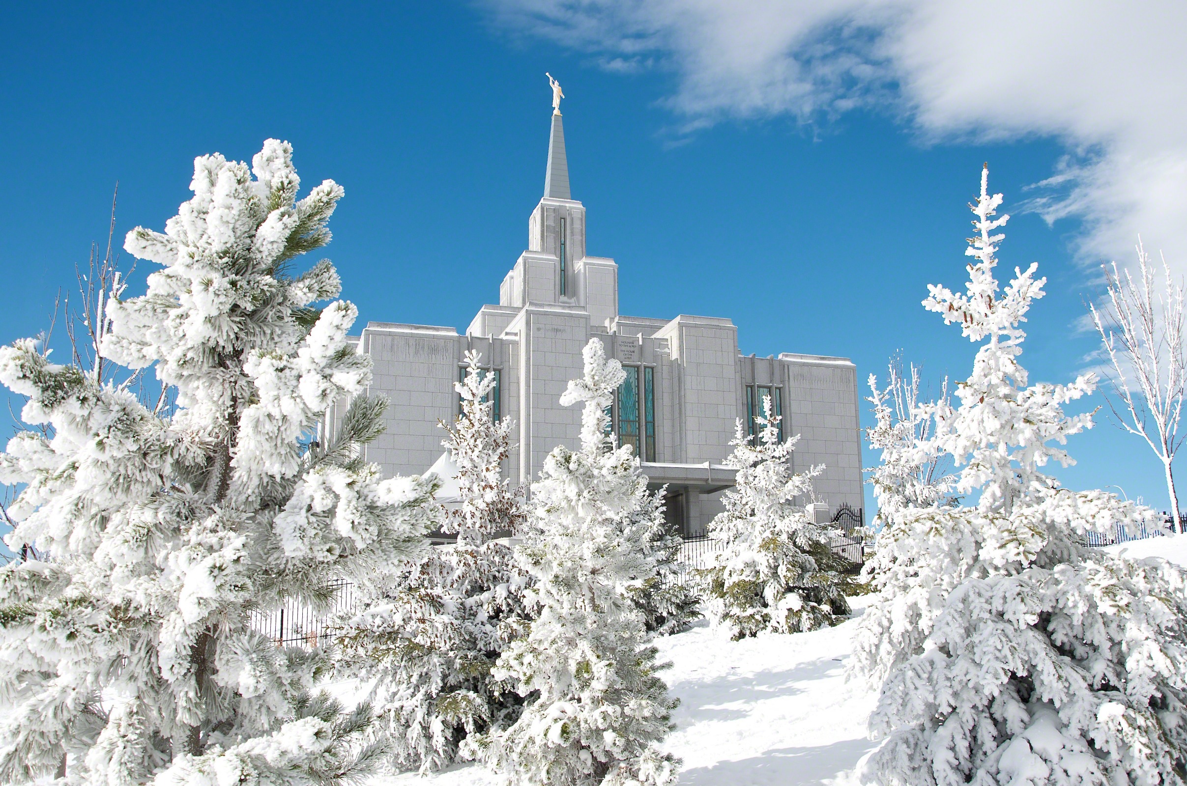 carta da parati tempio lds,inverno,brina,neve,congelamento,albero