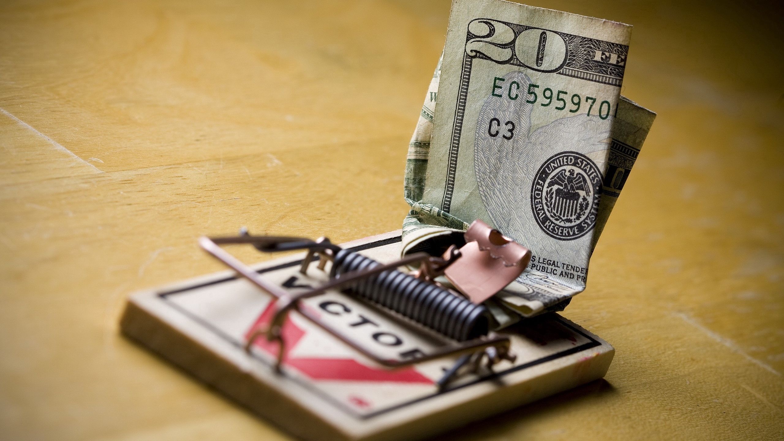 Vibrant Randy Saves Money Using An Account Picture Nature Vibrant Randy Saves Money Using An Account Picture Nature