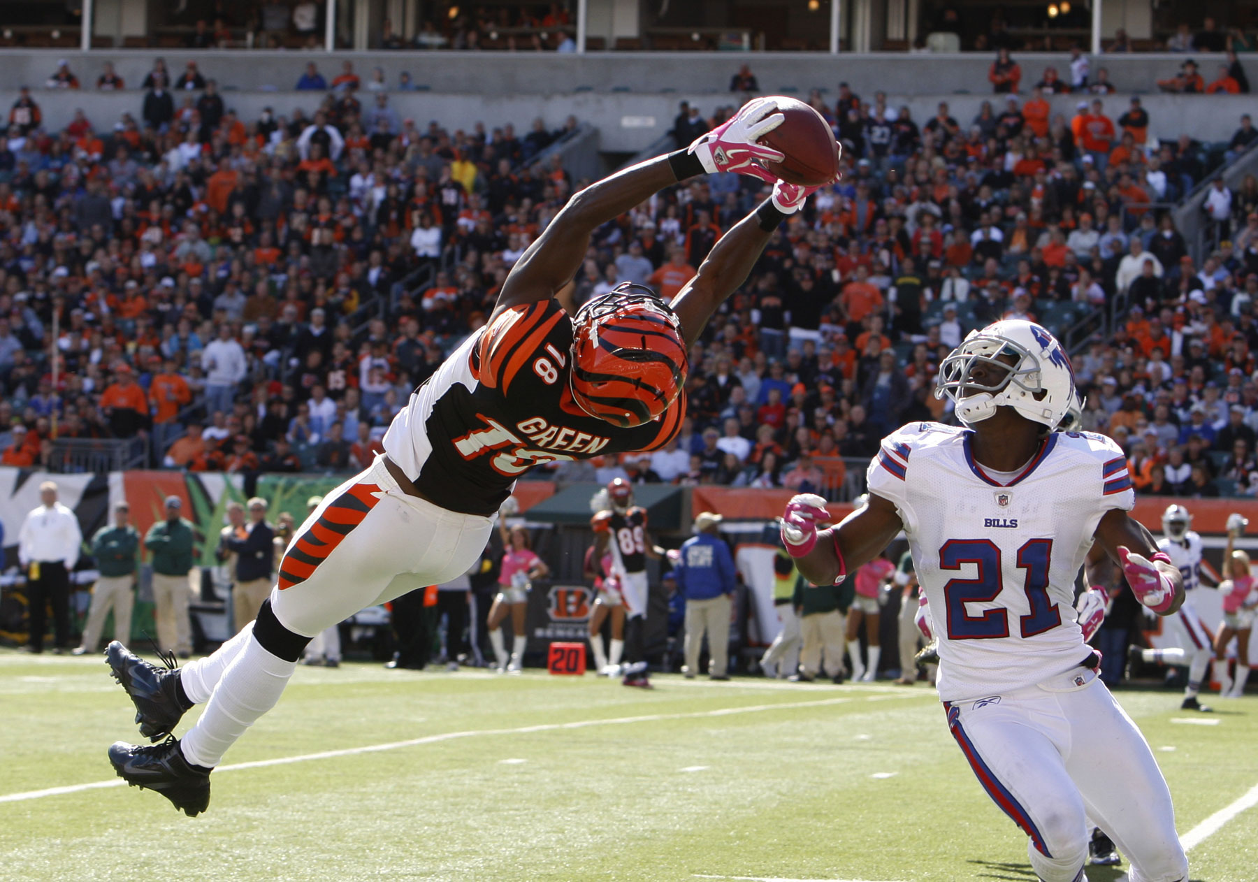 aj green wallpaper,player,sports,sports equipment,team sport,canadian football