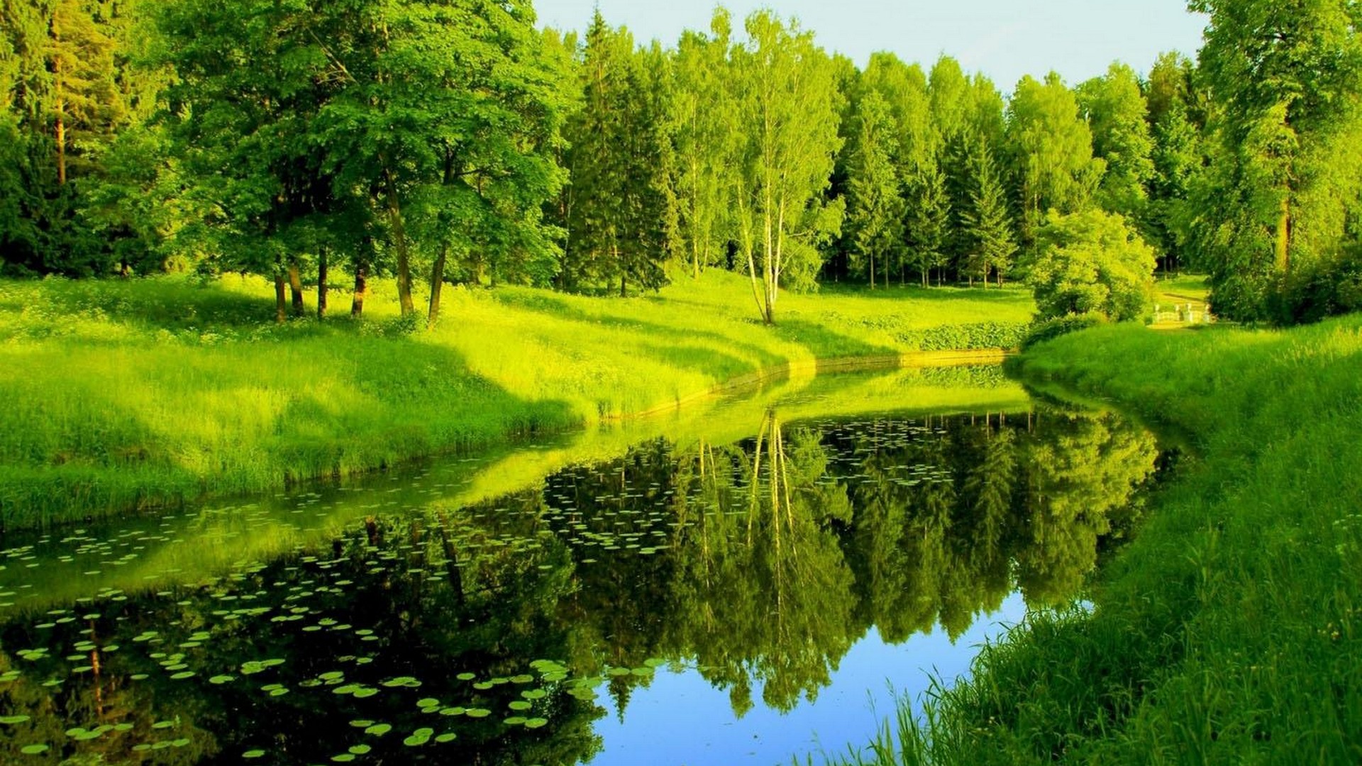 spring nature live wallpaper,natural landscape,nature,reflection,green,water