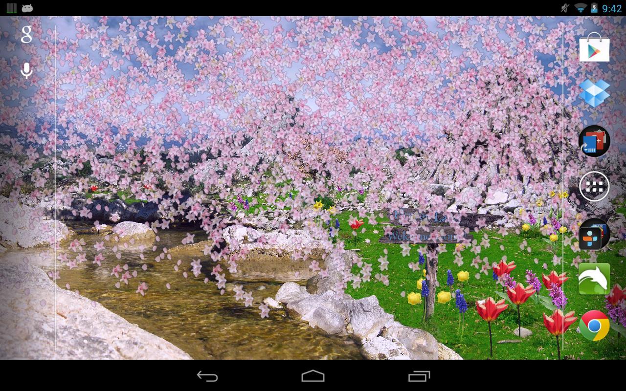 spring nature live wallpaper,blossom,flower,cherry blossom,spring,screenshot