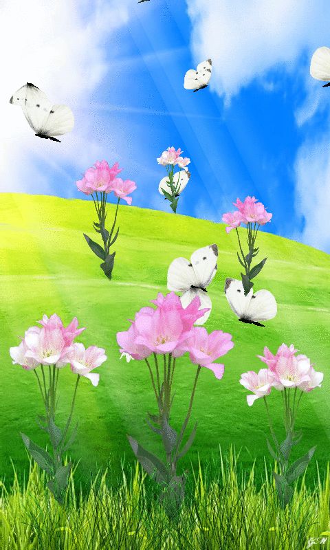 spring nature live wallpaper,natural landscape,nature,flower,plant,natural environment