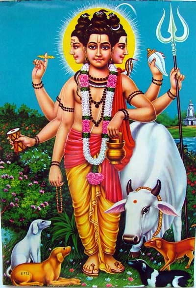 navnath hd wallpaper,guru,painting,art,mythology,hindu temple