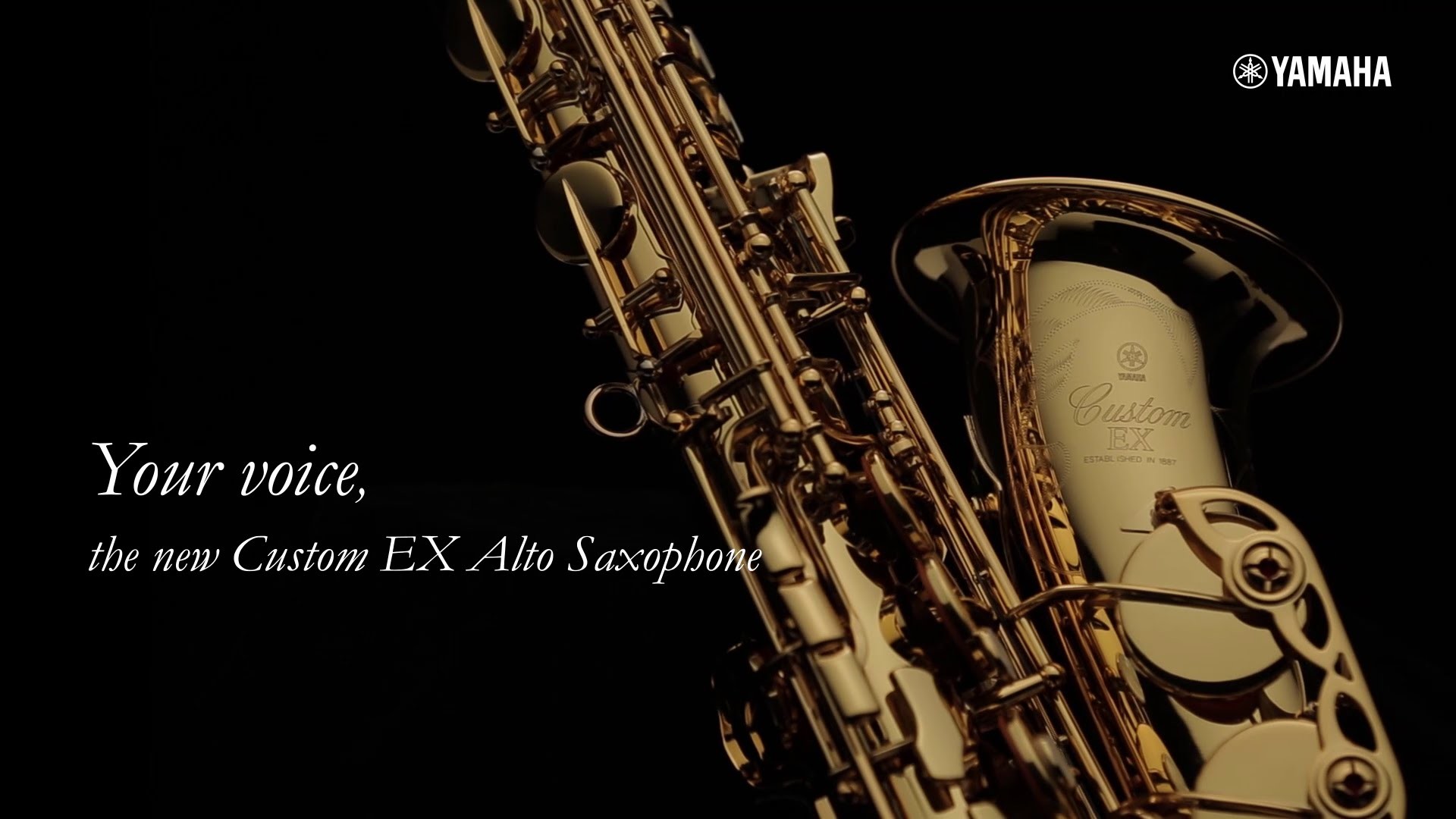 sax wallpaper hd,musical instrument,music,saxophone,brass instrument,wind instrument