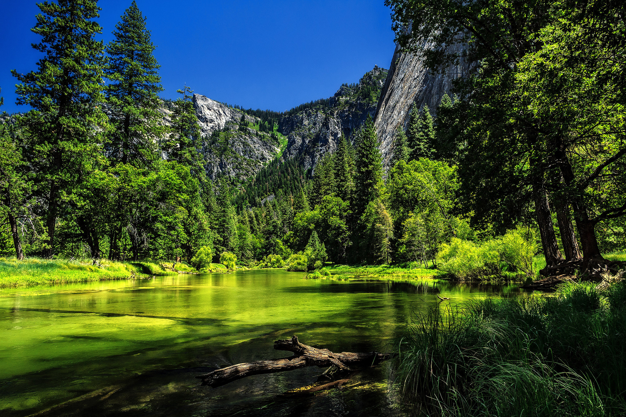 yosemite national park wallpaper,natural landscape,nature,green,water,tree