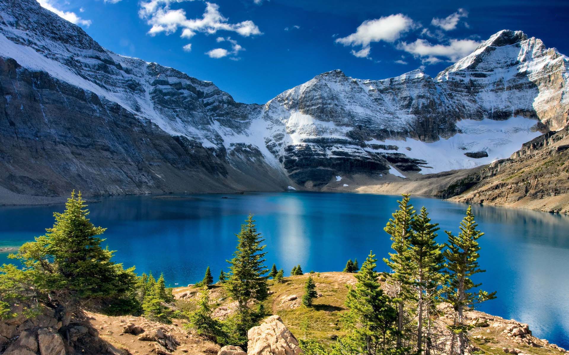 fond d'écran du parc national de yosemite,montagne,paysage naturel,la nature,mélèze larix lyalliisubalpine,lac glaciaire