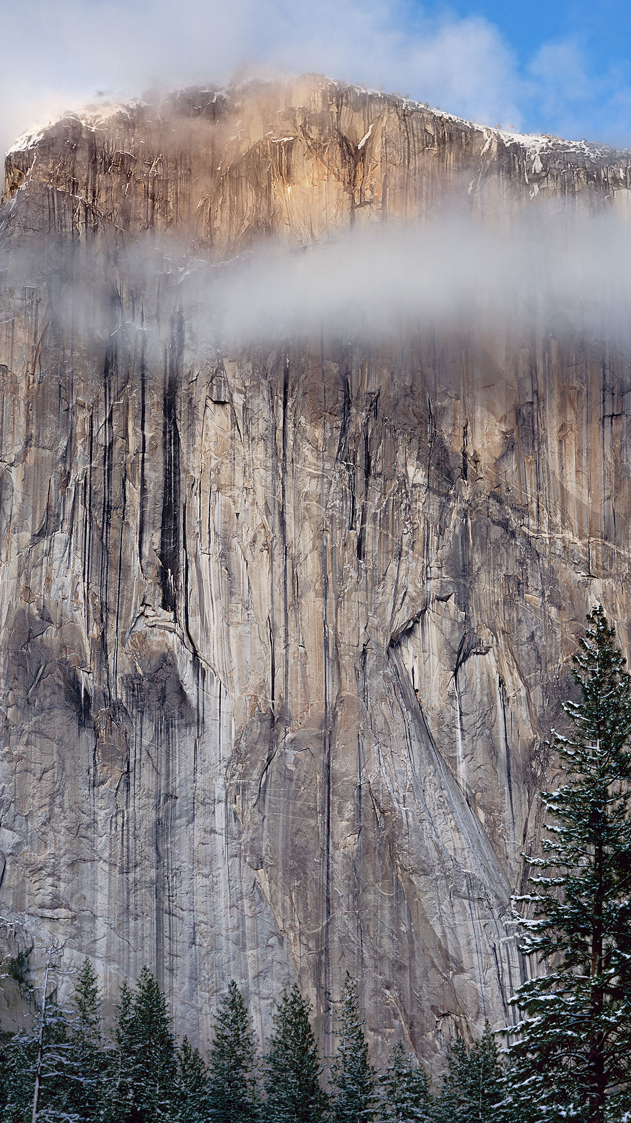 yosemite fondo de pantalla para iphone,naturaleza,formación,rock,afloramiento,árbol