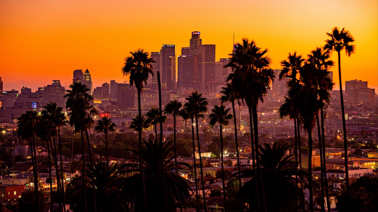 angeles wallpaper,sky,palm tree,tree,sunset,city