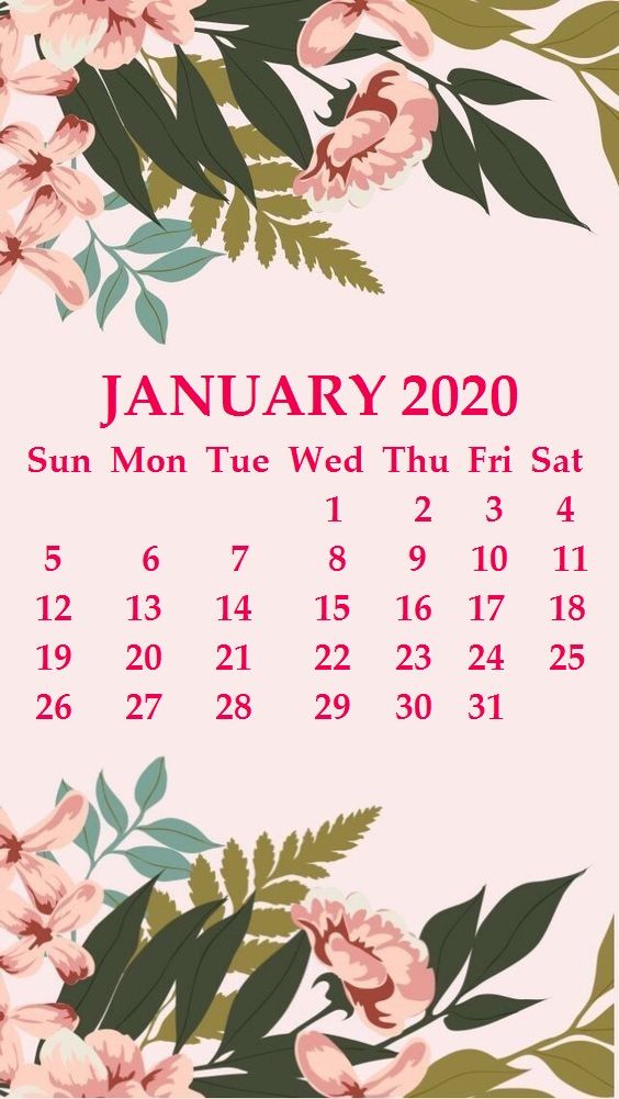 enero iphone fondo de pantalla,flor,planta,texto,rosado,planta floreciendo