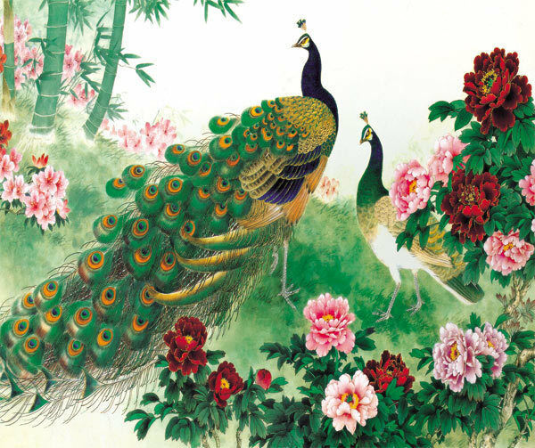 pfauentapete für wände,pfau,vogel,illustration,pflanze,blume