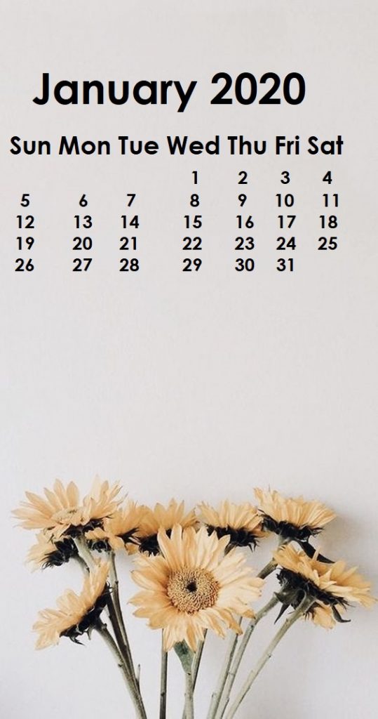 enero iphone fondo de pantalla,texto,planta,fuente,crisantemos,flor