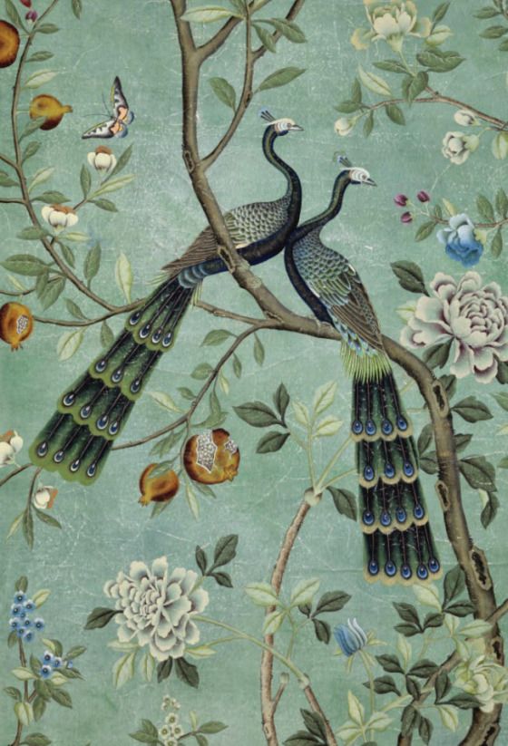 peacock wallpaper for walls,branch,aqua,botany,tree,plant