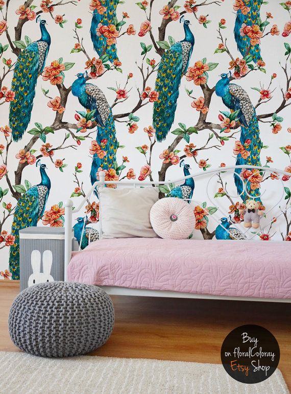 peacock wallpaper for walls,turquoise,room,interior design,furniture,wallpaper