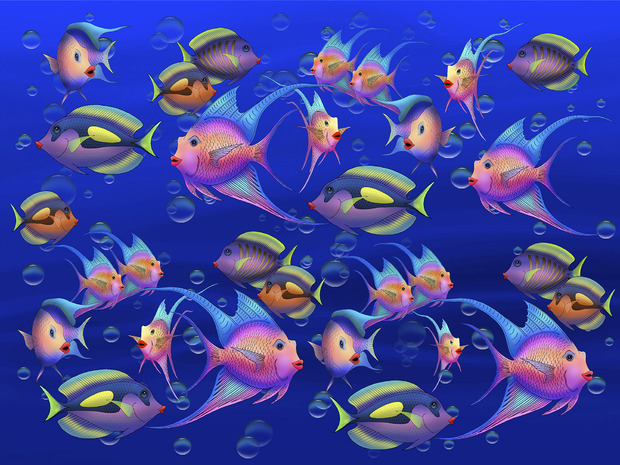 壁の魚の壁紙,海洋生物学,魚,水中,サンゴ礁の魚,魚