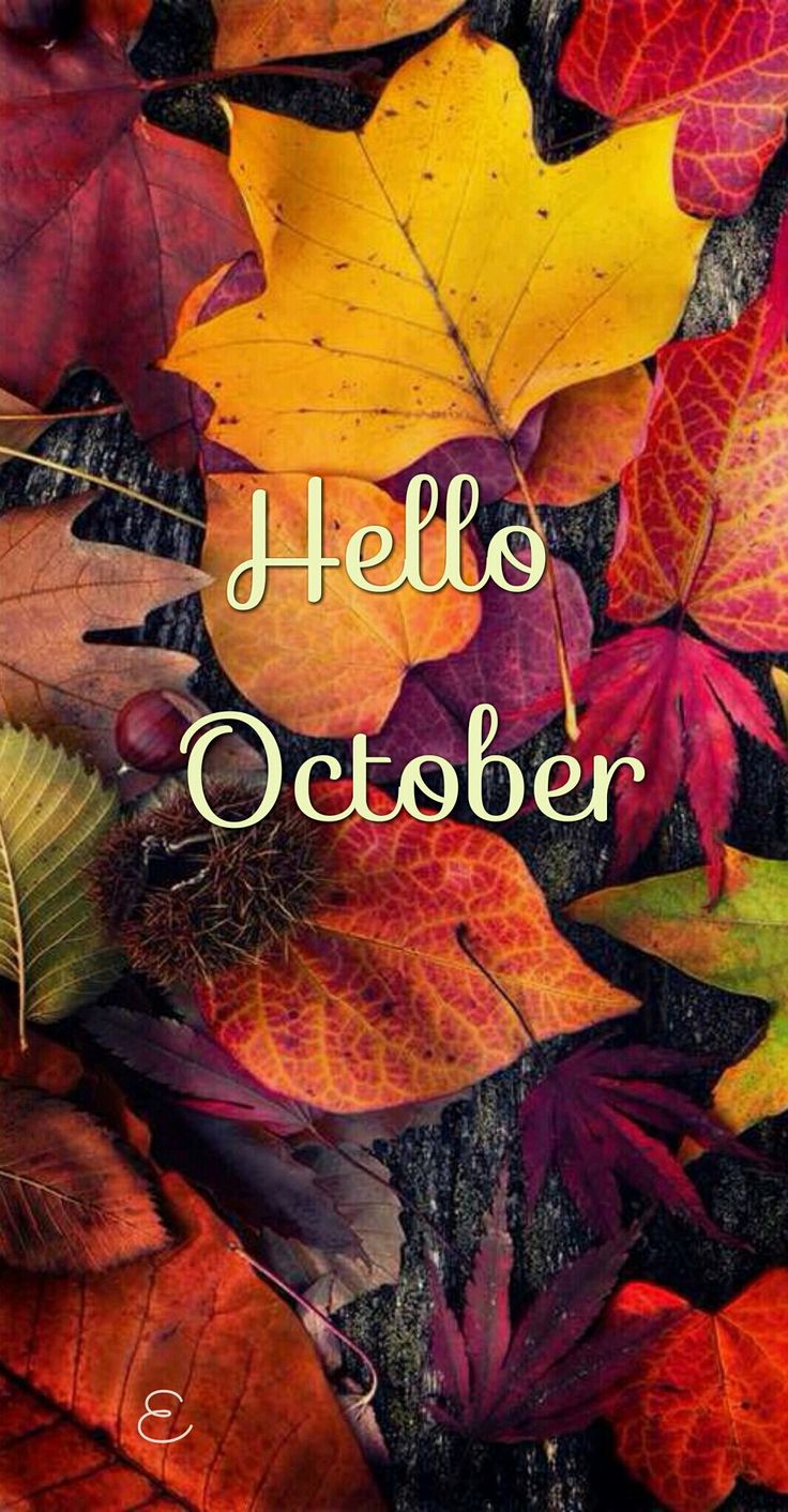 ottobre iphone wallpaper,foglia,testo,autunno,font,pianta