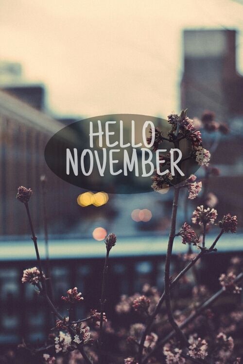 november iphone wallpaper,font,text,plant,photography,flower