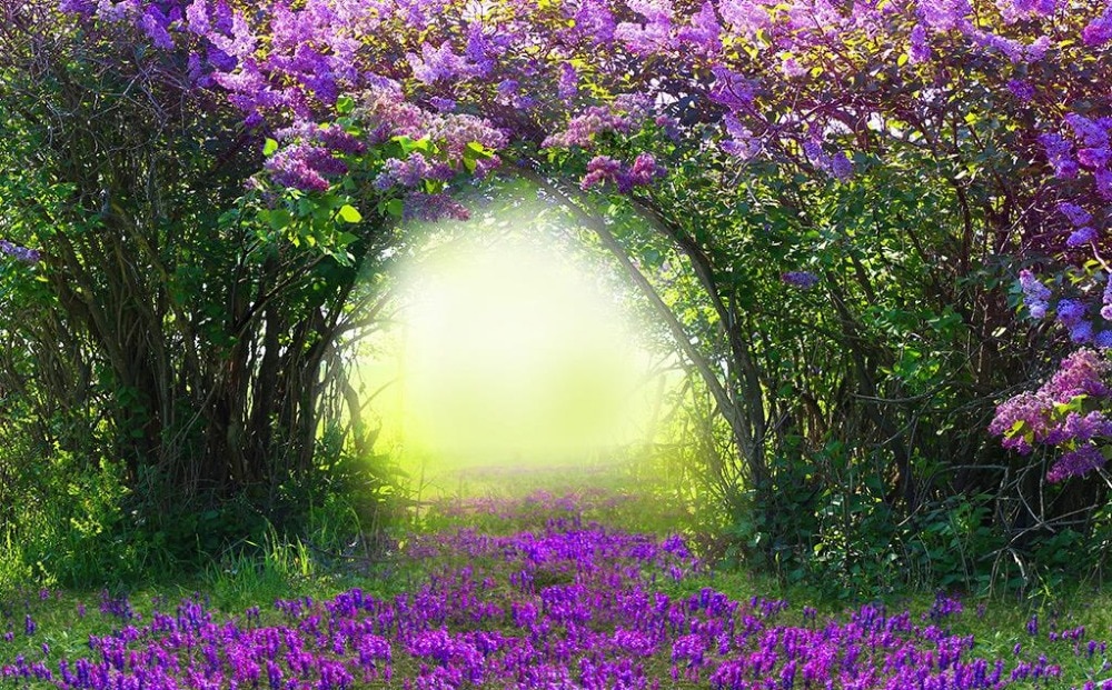 壁の風景の壁紙,花,ラベンダー,自然,紫の,工場