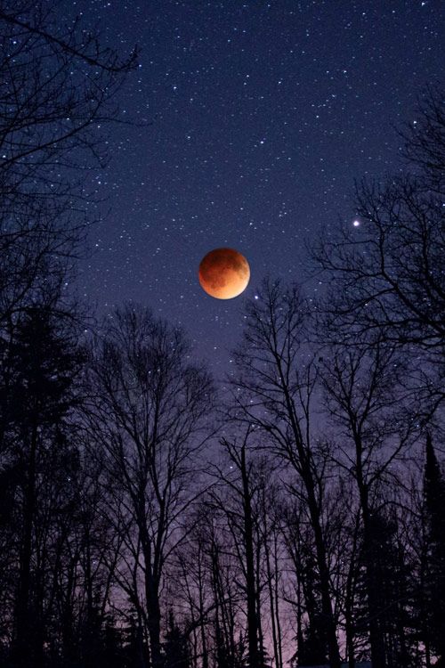 fond d'écran iphone 2017,lune,ciel,la nature,clair de lune,objet astronomique