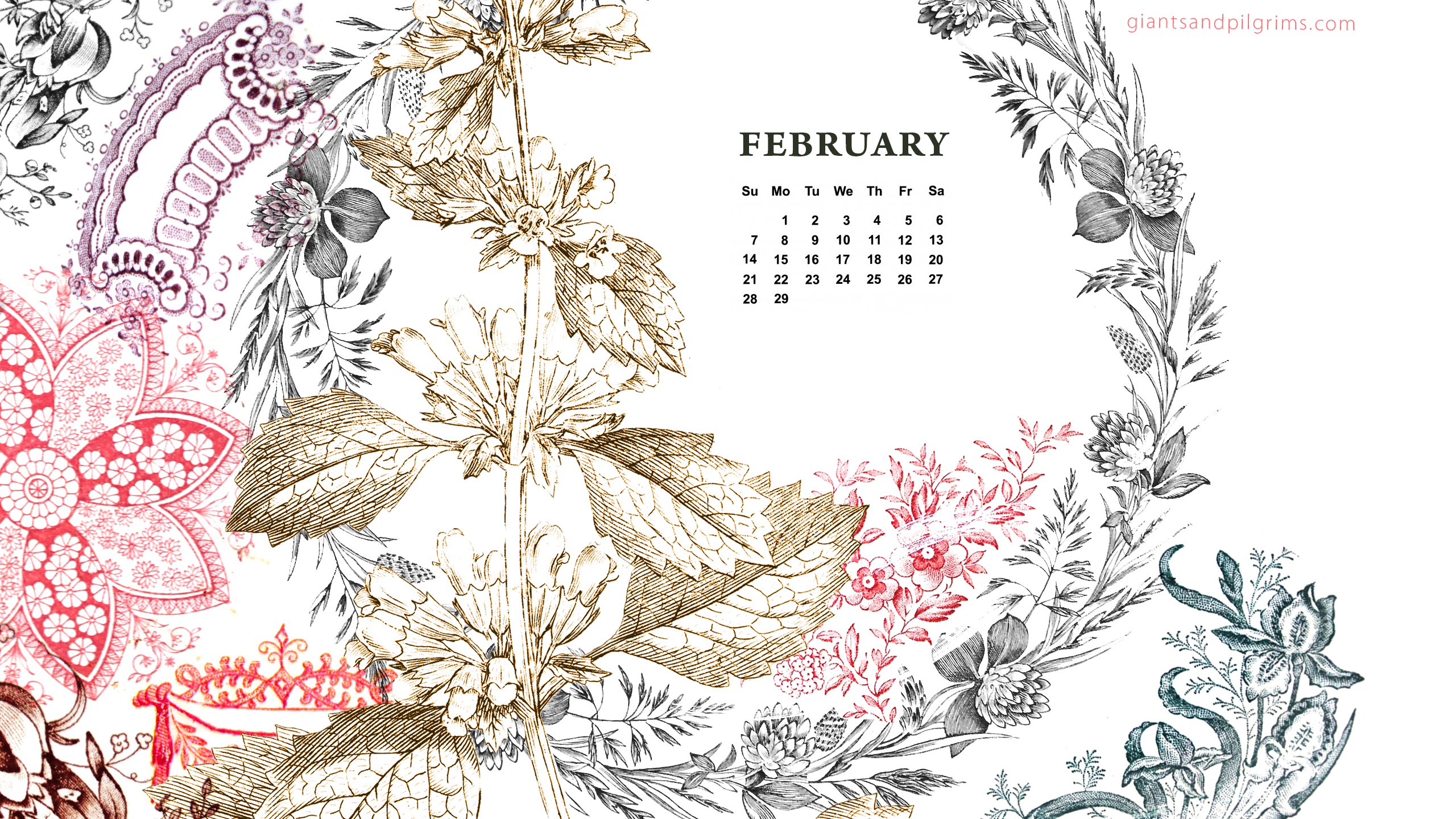 februar desktop hintergrund,strichzeichnungen,blumendesign,pflanze,wildblume,muster
