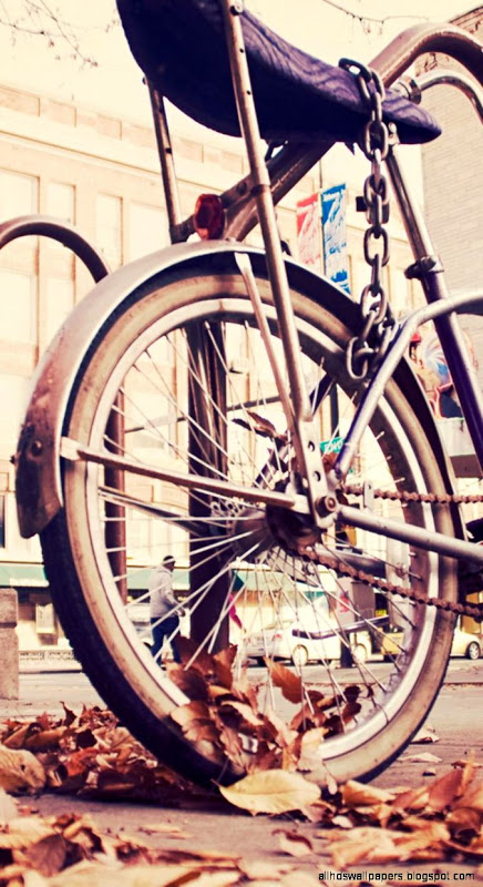 wallpaper for ipod 6,bicycle wheel,bicycle tire,bicycle part,bicycle,spoke