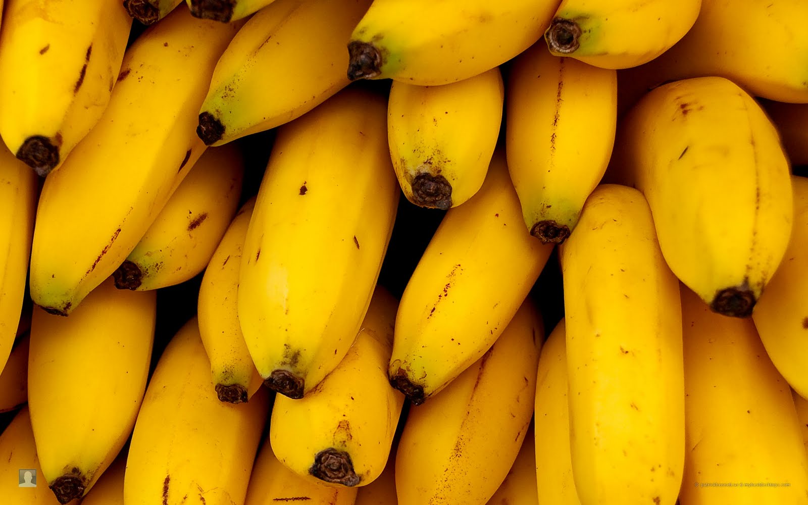 wallpaper bananas,natural foods,banana family,banana,saba banana,yellow