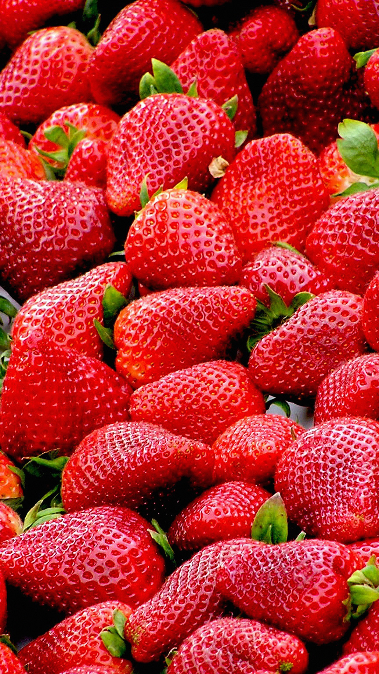 fond d'écran aux fraises pour iphone,aliments naturels,fraise,fruit,cuisine locale,aliments