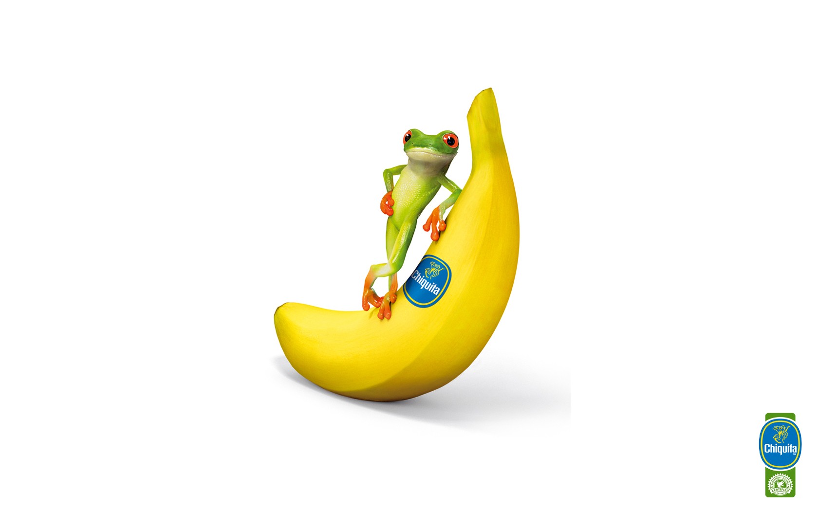 wallpaper bananas,banana,banana family,yellow,animation,fruit