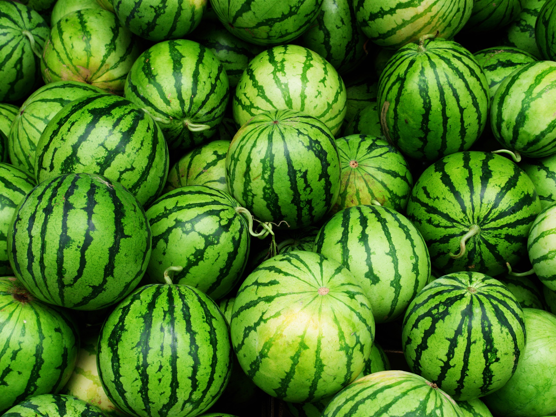 wassermelonen tapete hd,wassermelone,melone,grün,lokales essen,gurke