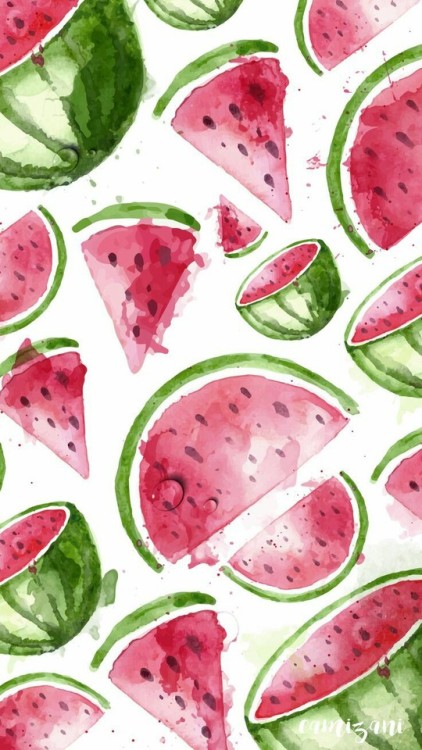 wassermelone tumblr wallpaper,wassermelone,melone,rosa,pflanze,blatt