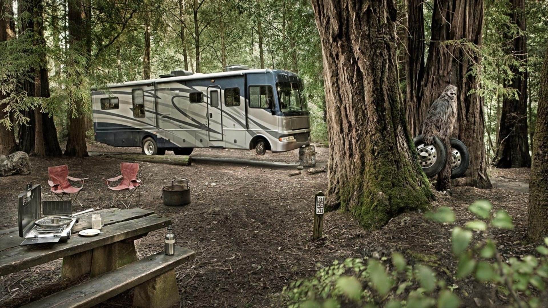 fond d'écran camping car,véhicule à moteur,véhicule,arbre,voiture,parc d'état