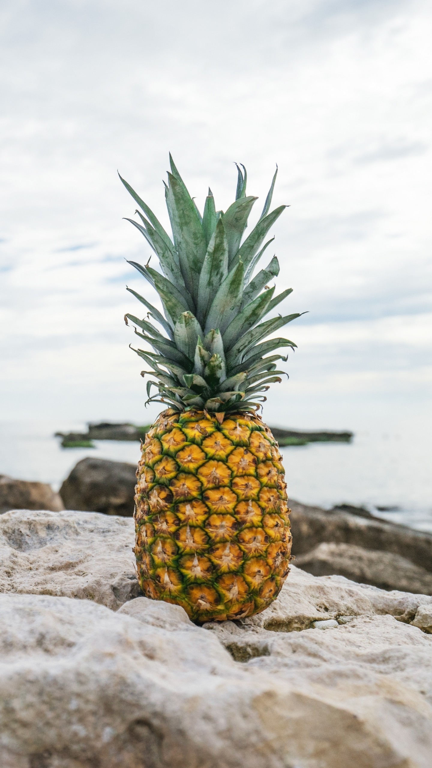 Pineapple Wallpaper For Iphone Pineapple Ananas Fruit Plant Natural Foods Wallpaperuse