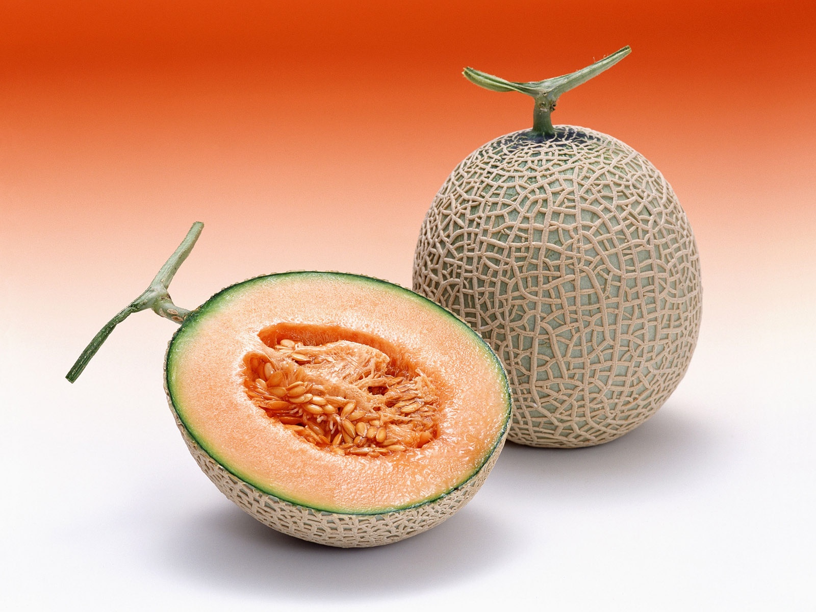 melon wallpaper,melon,galia,cantaloupe,muskmelon,fruit