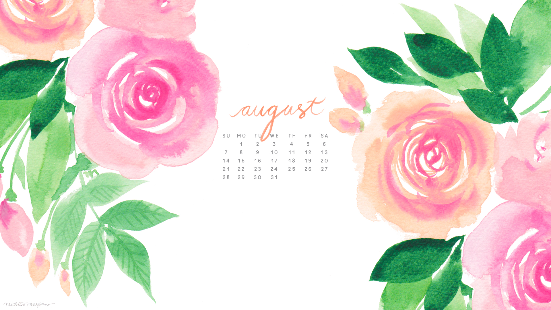 august desktop wallpaper,garden roses,flower,pink,rose,rose family