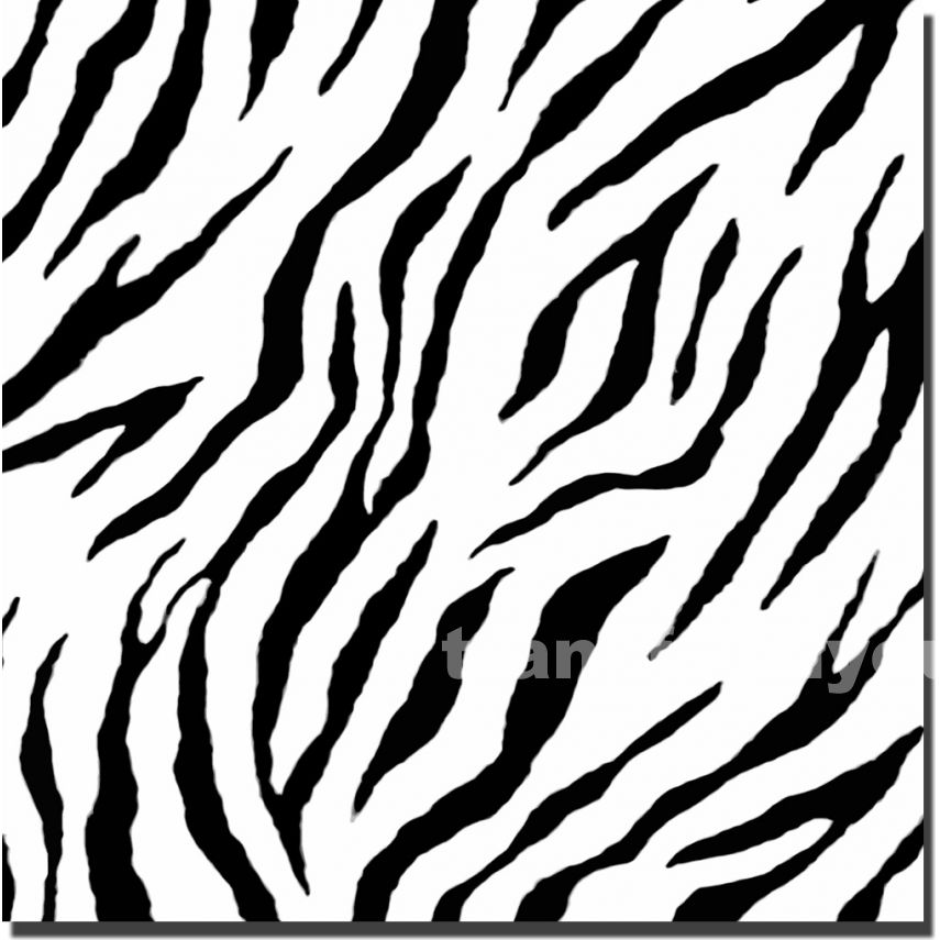 zebra stripe wallpaper,pattern,black and white,line,design,monochrome