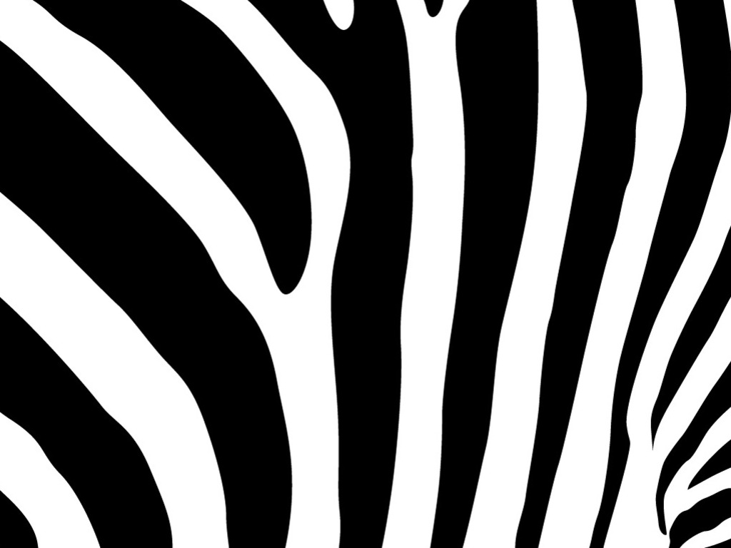 carta da parati a strisce zebrate,bianco e nero,linea,modello,monocromatico,design