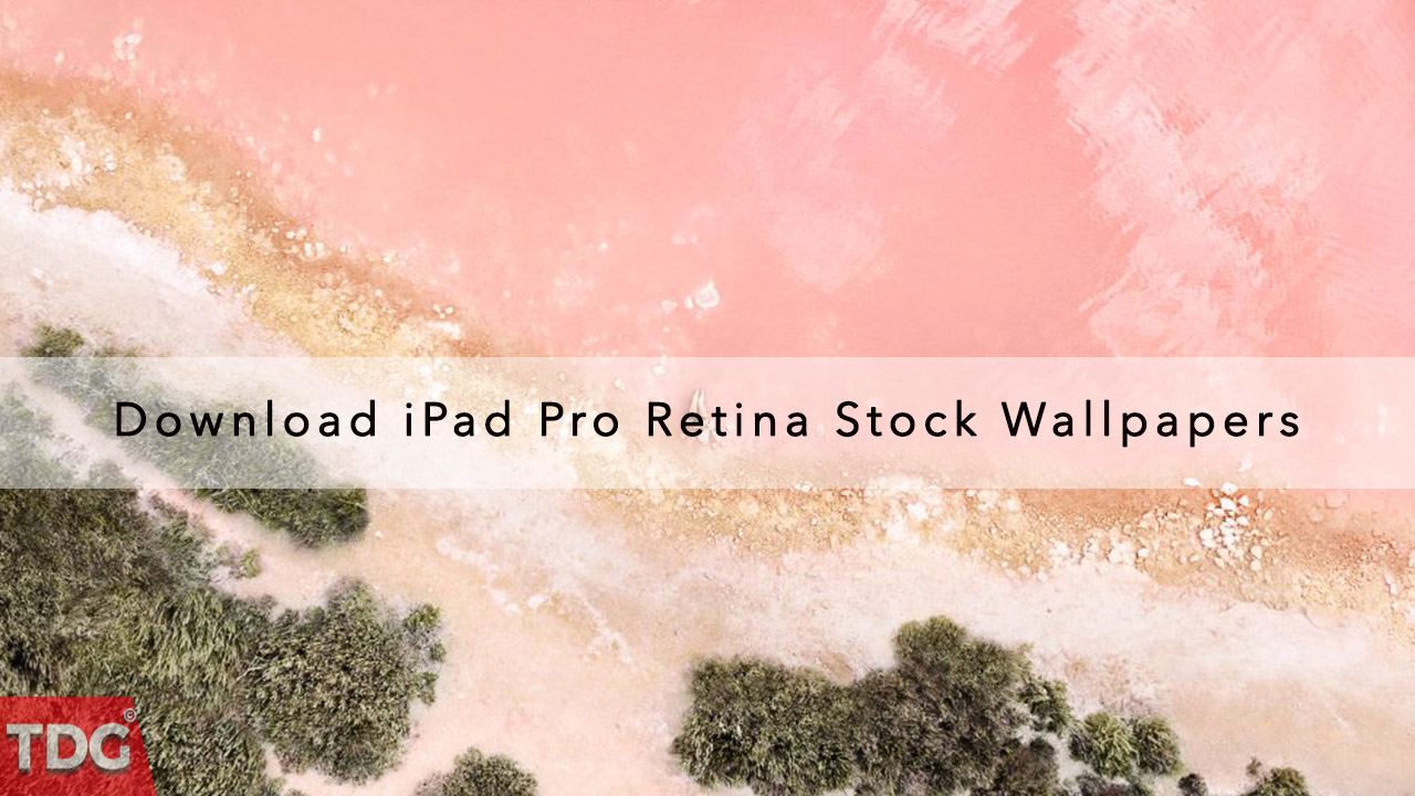 Download New 5K Resolution iPad Pro Wallpapers Straight from Store Demo  Units