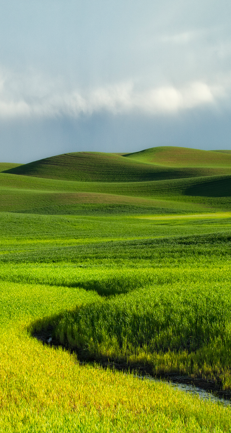 download di sfondi ios 10,prateria,paesaggio naturale,campo,verde,natura