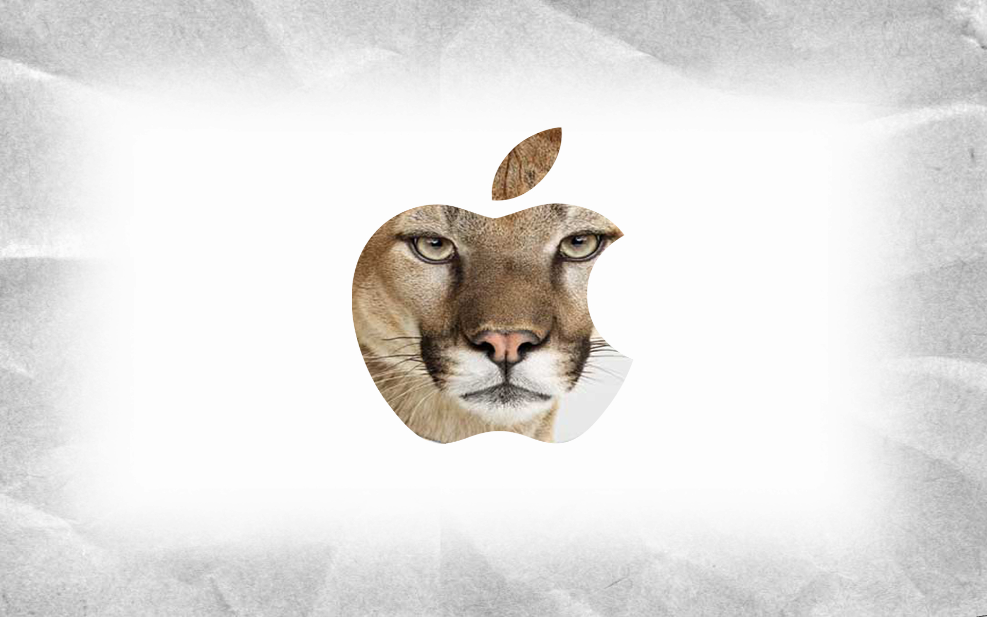 os x mountain lion wallpaper,illustration,snout,wildlife,art,goats