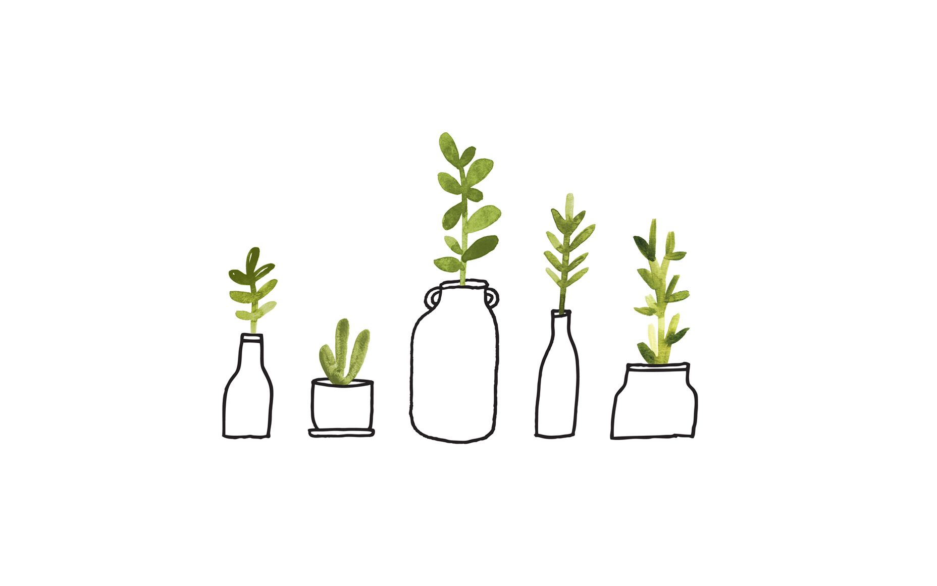 cute mac wallpapers,green,flowerpot,plant,grass,grass family