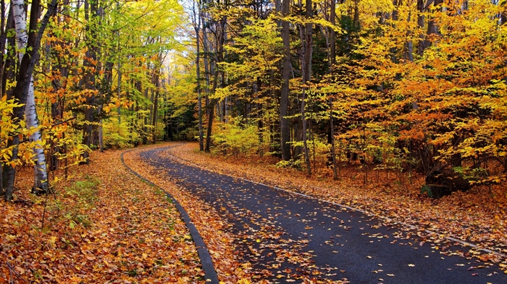 herbst mac wallpaper,natürliche landschaft,baum,natur,blatt,herbst