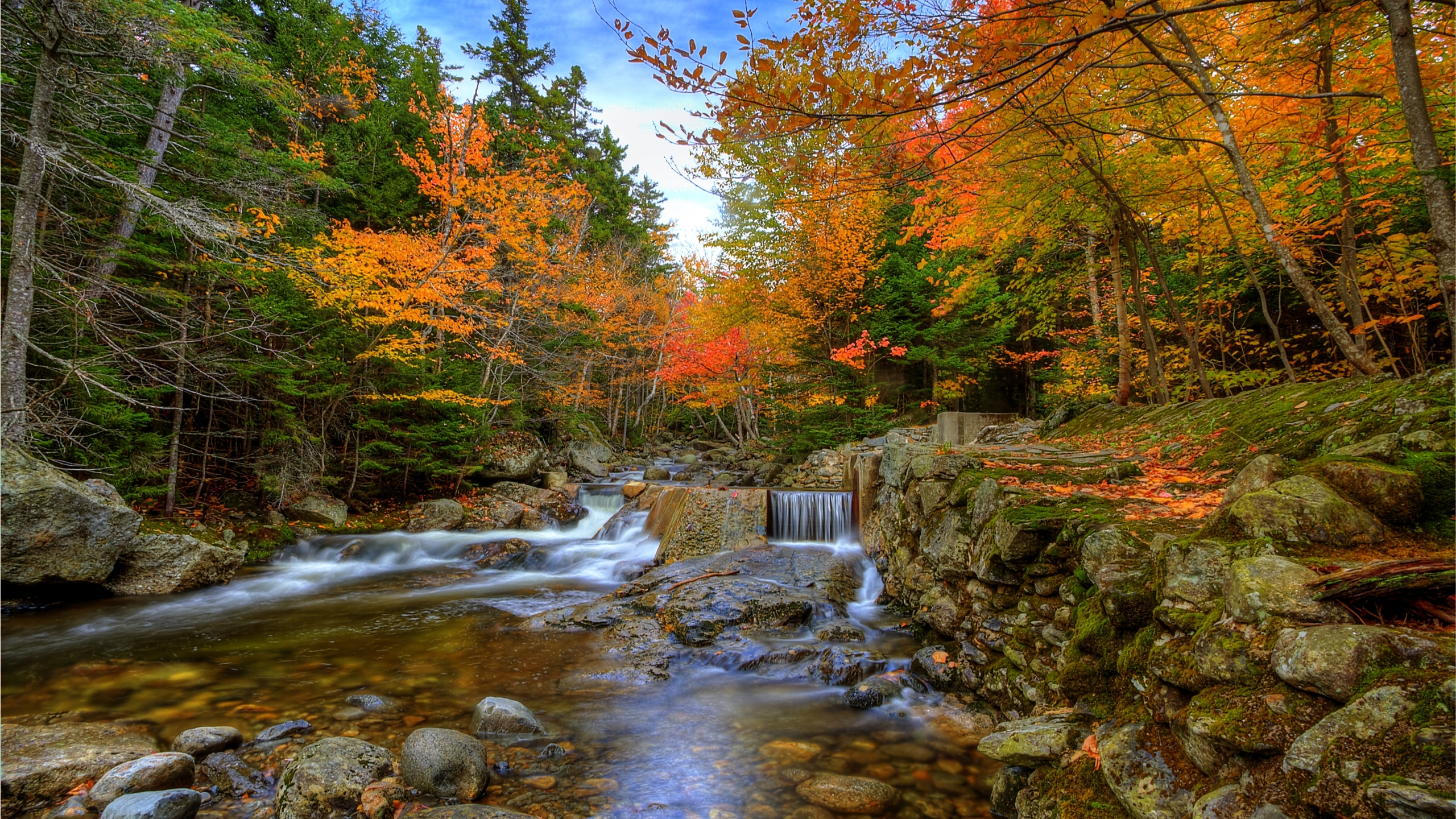 fall mac wallpaper,nature,body of water,natural landscape,stream,tree