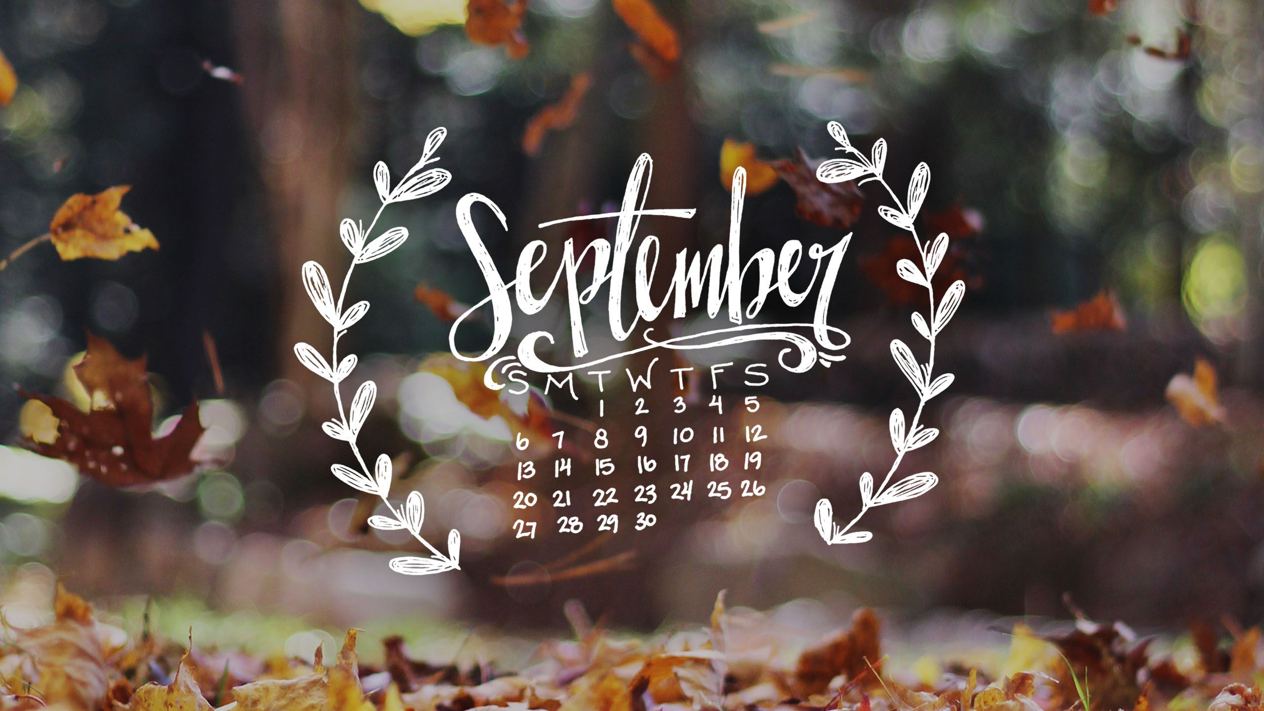 fall mac wallpaper,leaf,font,text,autumn,tree