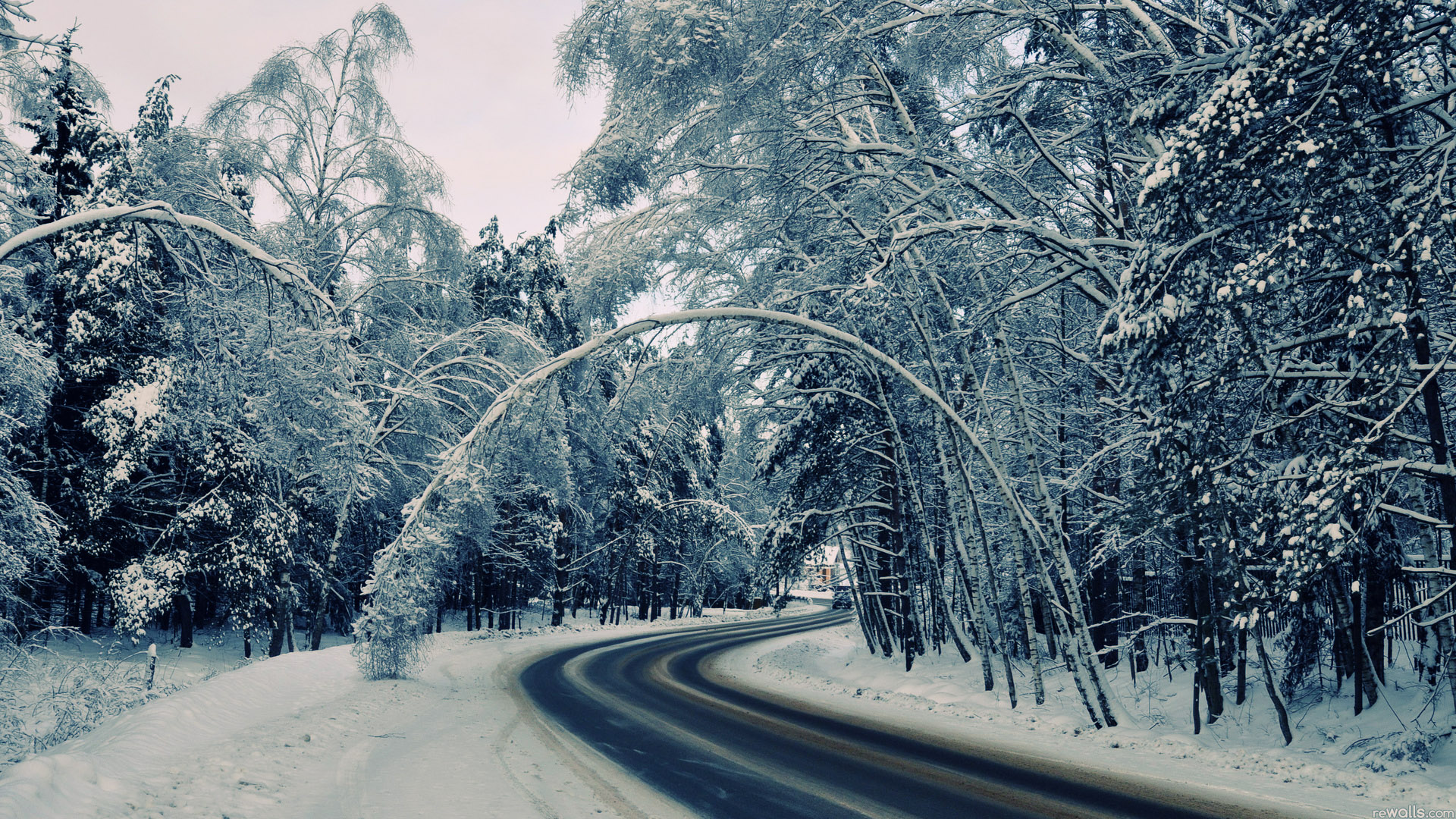 winter mac wallpaper,snow,winter,tree,freezing,road