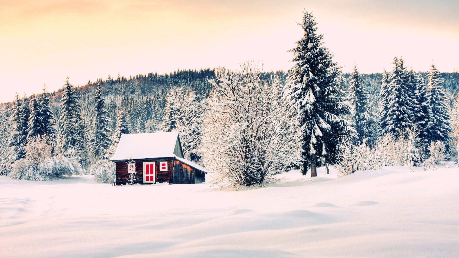 winter mac wallpaper,snow,winter,tree,sky,freezing