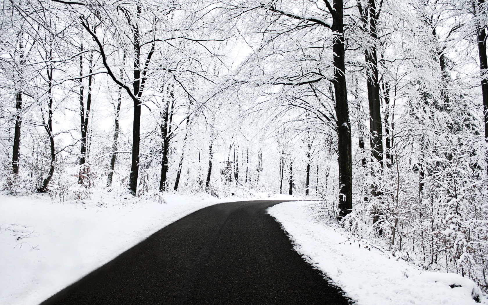 carta da parati mac inverno,neve,inverno,albero,bianca,natura