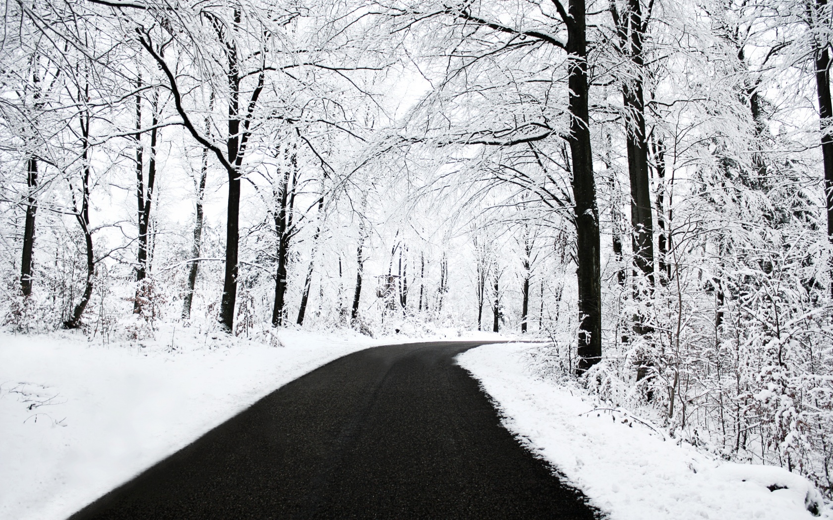 winter mac wallpaper,snow,winter,tree,white,nature